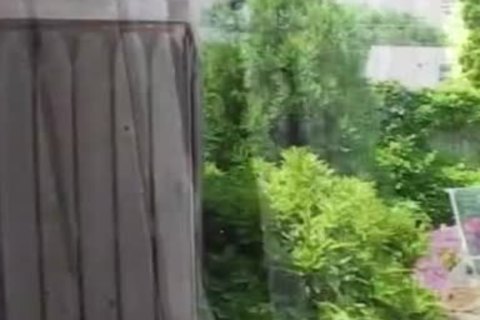 Beach guy lavish spooging