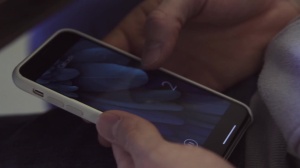 arse Controller - arse Sex