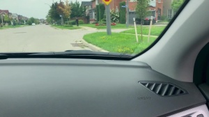 Pranksters - Dante Colle, Kit Cohen anal job