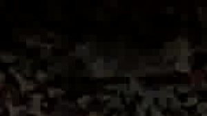 trip Of Duty - Hook up