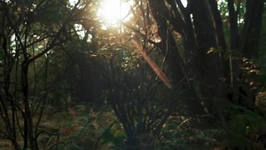 Tom Of Finland: 1957 - Kurtis Wolfe and Matthew Camp American Nail