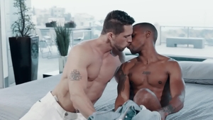 NoirMale.com: Plowing hard with Roman Todd Jacen Zhu